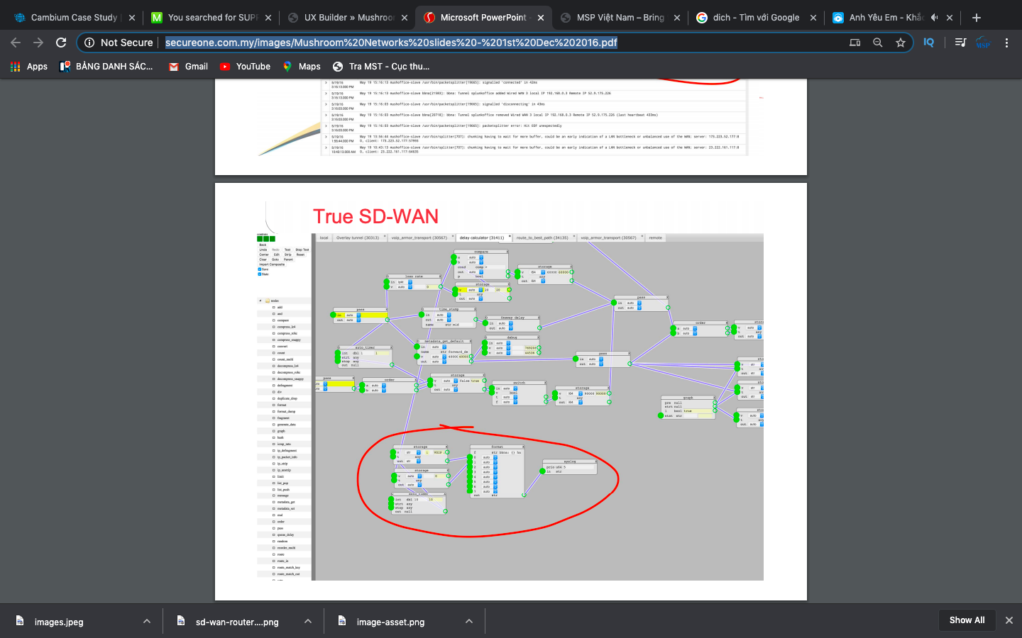 MUSHROOM NETWORKS MSPVN