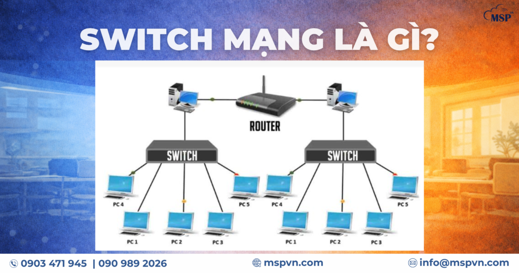 switch mạng là gì