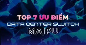 switch maipu