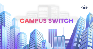 campus switch maipu